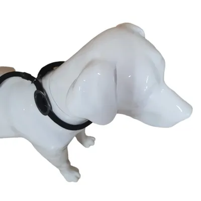Laisse Aiden  ø12 mm L130 cm anti traction, , pour chien