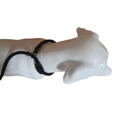 Laisse Aiden  ø12 mm L130 cm anti traction, , pour chien