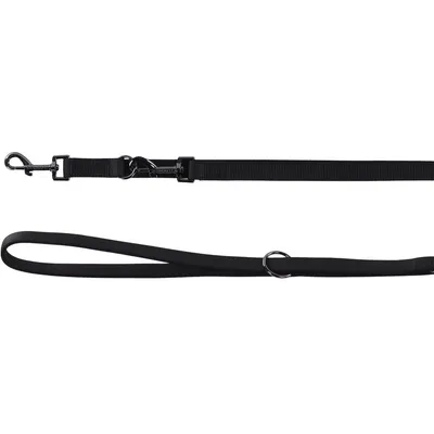 Laisse d'entrainement  20 mmx  2 mètre pour chien