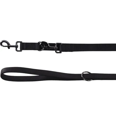 Laisse d'entrainement  20 mmx  2 mètre pour chien