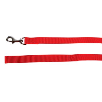 Laisse nylon 1 m x 25 mm  pour chien