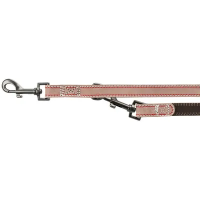 Trixie - Laisse 15 mm x  2 M en cuir réglable.   pour chien