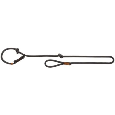 Laisse Réglable pour Chiens Corde d'Animaux Ceinture Multi-taille