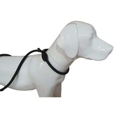 Laisse Aiden ø12 mm L170 cm anti traction,  , pour chien