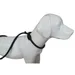 Laisse Aiden ø12 mm L170 cm anti traction, , pour chien
