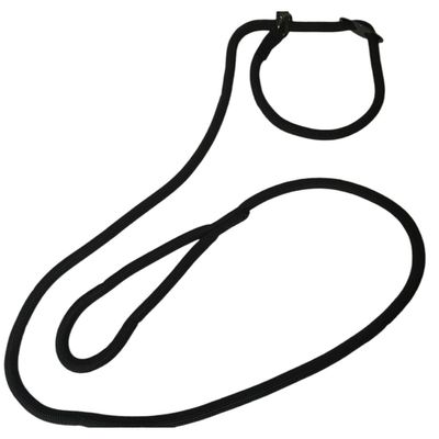 Laisse Aiden ø12 mm L170 cm anti traction,  , pour chien