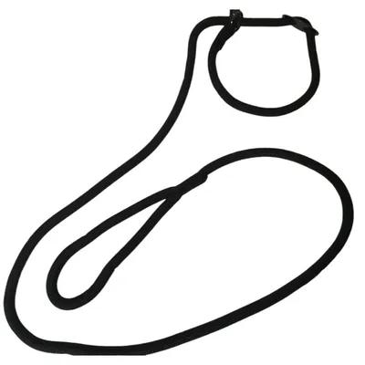 Laisse Aiden ø12 mm L170 cm anti traction,  , pour chien