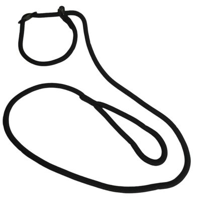 Laisse Aiden ø12 mm L170 cm anti traction,  , pour chien