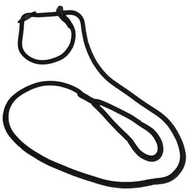 animallparadise - Laisse Aiden ø12 mm L170 cm anti traction,  , pour ch