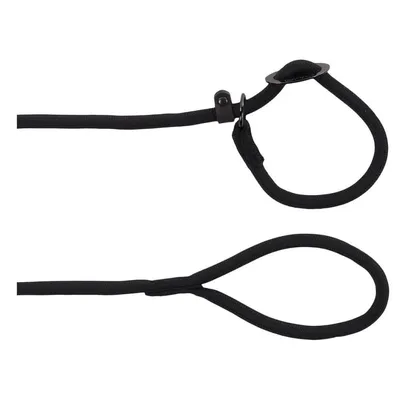 Laisse Aiden ø12 mm L170 cm anti traction,  , pour chien