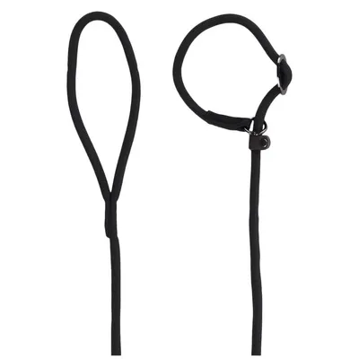 animallparadise - Laisse Aiden ø12 mm L170 cm anti traction,  , pour ch