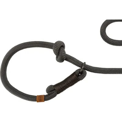 Laisse Réglable pour Chiens Corde d'Animaux Ceinture Multi-taille