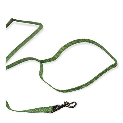 Laisse verte PUPPY PIXIE 8 mm x 1,20m pour chiots
