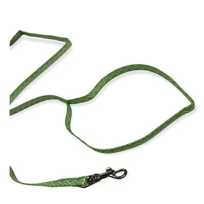 animallparadise - Laisse verte PUPPY PIXIE 8 mm x 1,20m pour chiots