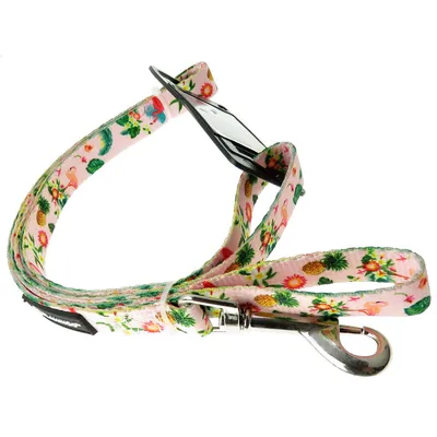 Laisse SERA rose 120 cm x 15 mm, pour chiens.