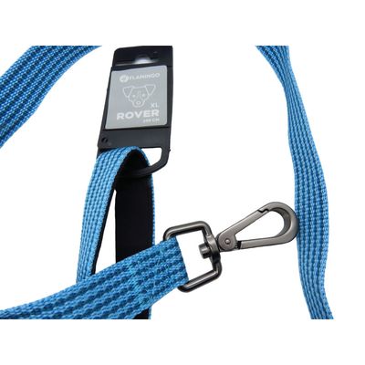 Laisse jannu  1 mètre x 25 mm  pour chien