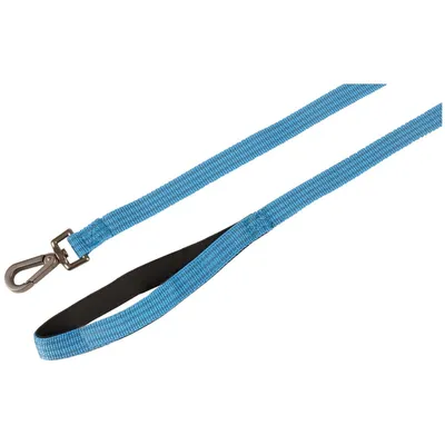 Laisse jannu  1 mètre x 25 mm  pour chien