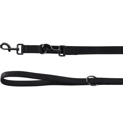 Laisse d'entrainement  25 mmx  2 mètre pour chien