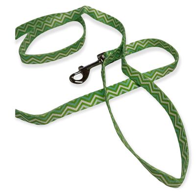 Laisse nylon PUPPY PIXIE longueur 1,20 m vert pour chiot,