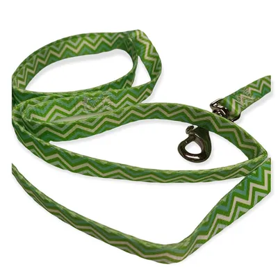 animallparadise - Laisse nylon PUPPY PIXIE longueur 1,20 m vert pour chiot,