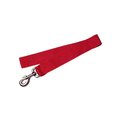 Laisse Nylon XL 60 cm   pour chien