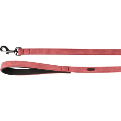 Flamingo - Laisse de 1 Mètre X 20 mm DELU, , pour Chien.