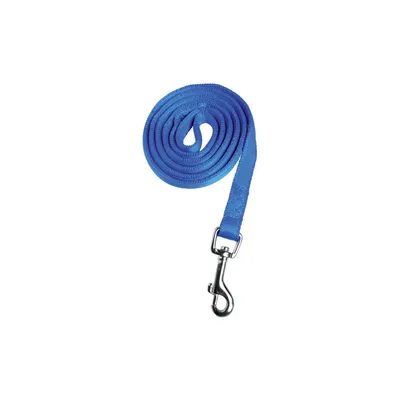 zolux - Laisse Nylon XL 60 cm  pour chien