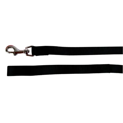 Laisse nylon 1 m x 25 mm  pour chien