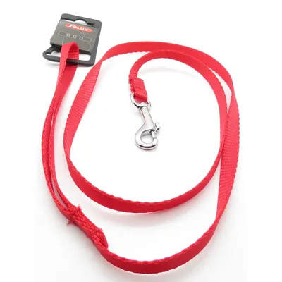 Laisse nylon 1 m x 10 mm  pour chien