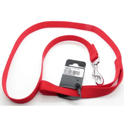 Laisse nylon 1 m x 20 mm   pour chien.