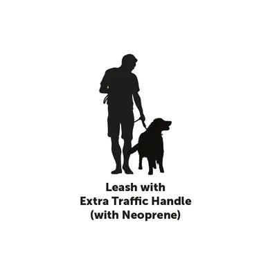 Laisse KAYGA  avec petit rangement 1.60 m x 25 mm pour chien