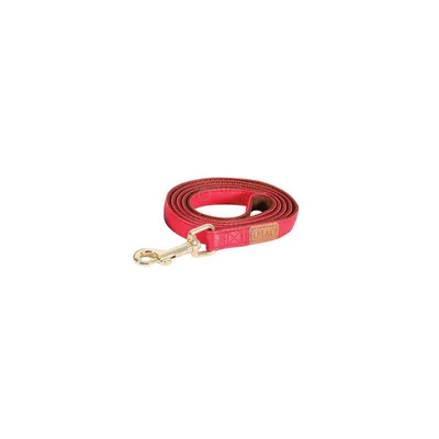 Laisse IMAO MAYFAIR. 25 mm. x 1.2 mètre pour chien. Laisse IMAO MAYFAIR. 25 mm. x 1.2 mètre pour chien.