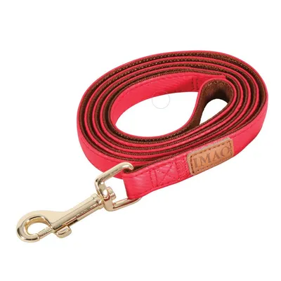Laisse IMAO MAYFAIR 15 mm x 1.2 mètre  pour chien.