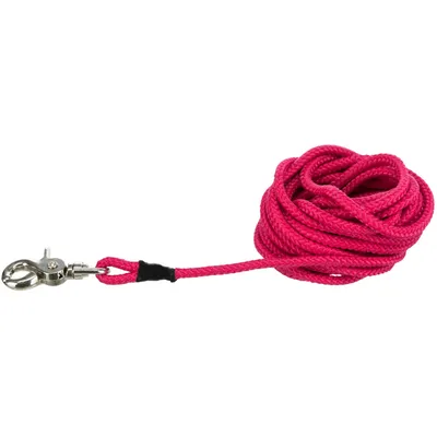Trixie - Laisse à pister, ø 6 mm x 20 M rose ronde sans dragonne, pour chie Trixie - Laisse à pister, ø 6 mm x 20 M rose ronde sans dragonne, pour chie