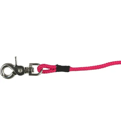 Trixie - Laisse à pister, ø 6 mm x 20 M rose ronde sans dragonne, pour chie Trixie - Laisse à pister, ø 6 mm x 20 M rose ronde sans dragonne, pour chie