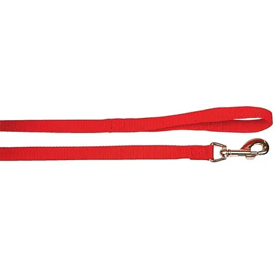 Laisse nylon 1 m x 15 mm pour chien Laisse nylon 1 m x 15 mm pour chien