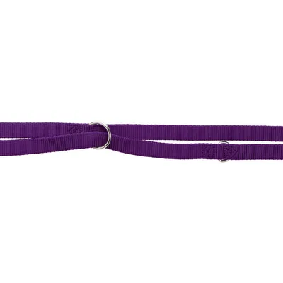 Trixie - Laisse 10 mm x 2 M  XS réglable double épaisseur violet. pour chie