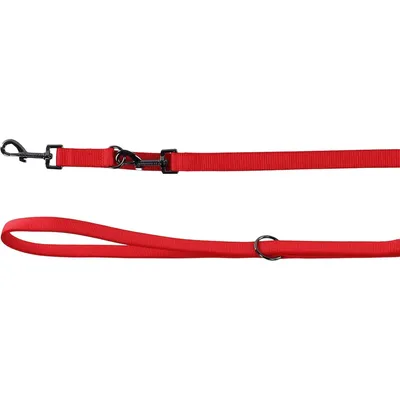 Laisse d'entrainement  20 mm x 2 mètre pour chien