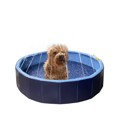 Piscine avec jet d'eau ø 120 x 30 cm  et gris pour chien