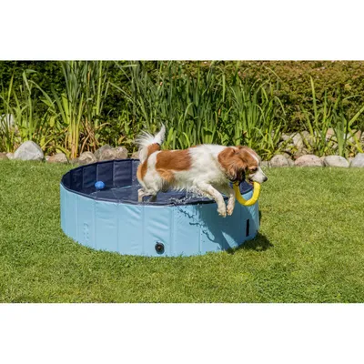 Piscine pour chien, Dimensions ø 120 × 30 cm Coloris