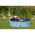 animallparadise - Piscine pour chien, Dimensions ø 80 × 20 cm Coloris