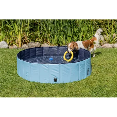 animallparadise - Piscine pour chien, Dimensions ø 80 × 20 cm Coloris