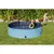 animallparadise - Piscine pour chien, Dimensions ø 80 × 20 cm Coloris