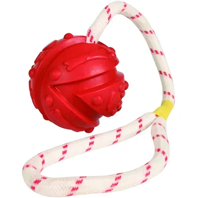 animallparadise - Jeu aquatique Balle sur corde, Dimensions: ø 7 x 35 cm, c