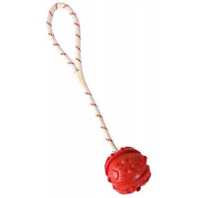 animallparadise - Jeu aquatique Balle sur corde, Dimensions: ø 7 x 35 cm, c