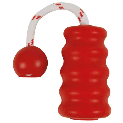 Trixie - jouet aquatique  pour chien MOT-Fun 9 x 22 cm Coloris aléatoire