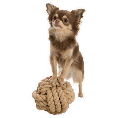 animallparadise - Balle en corde BE NORDIC ø13 cm pour chiens