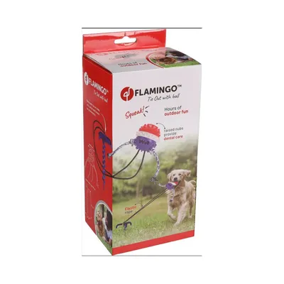 Balle avec une corde élastique et piquet pour fixer sol pour chien