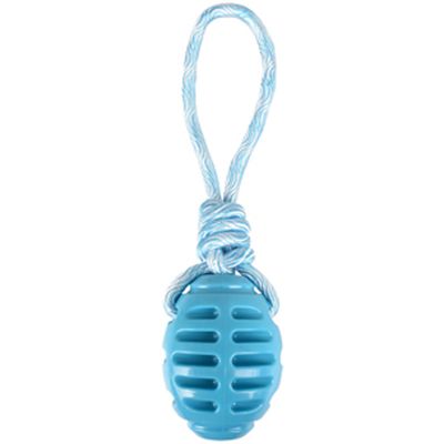 Jouet pour chien ballon de rugby + corde à tirer en TPR 30,5 cm  – Flam