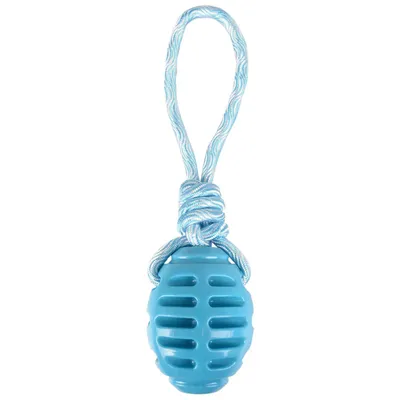 Jouet pour chien ballon de rugby + corde à tirer en TPR 30,5 cm  – Flam